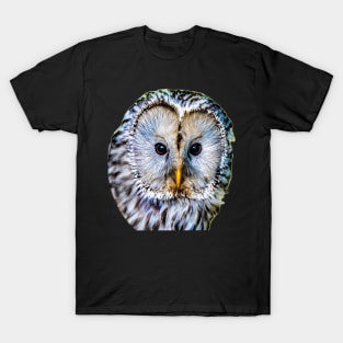 Realistic color pattern - eyes and head of an owl T-Shirt